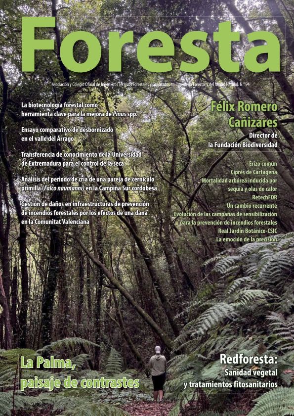 Entrevista a Eline (Foresta nº 94).pdf
